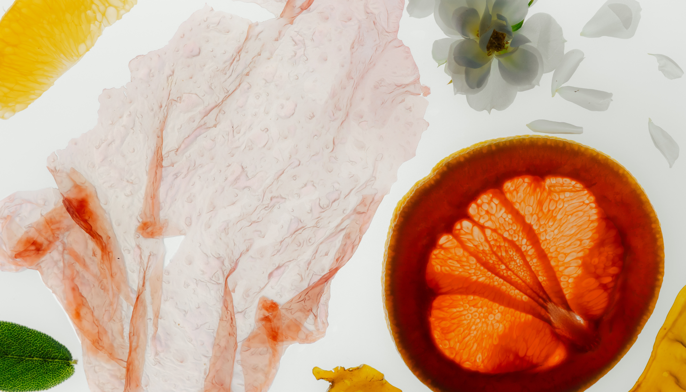 What's in the bottle? Inside the ingredients in our products.