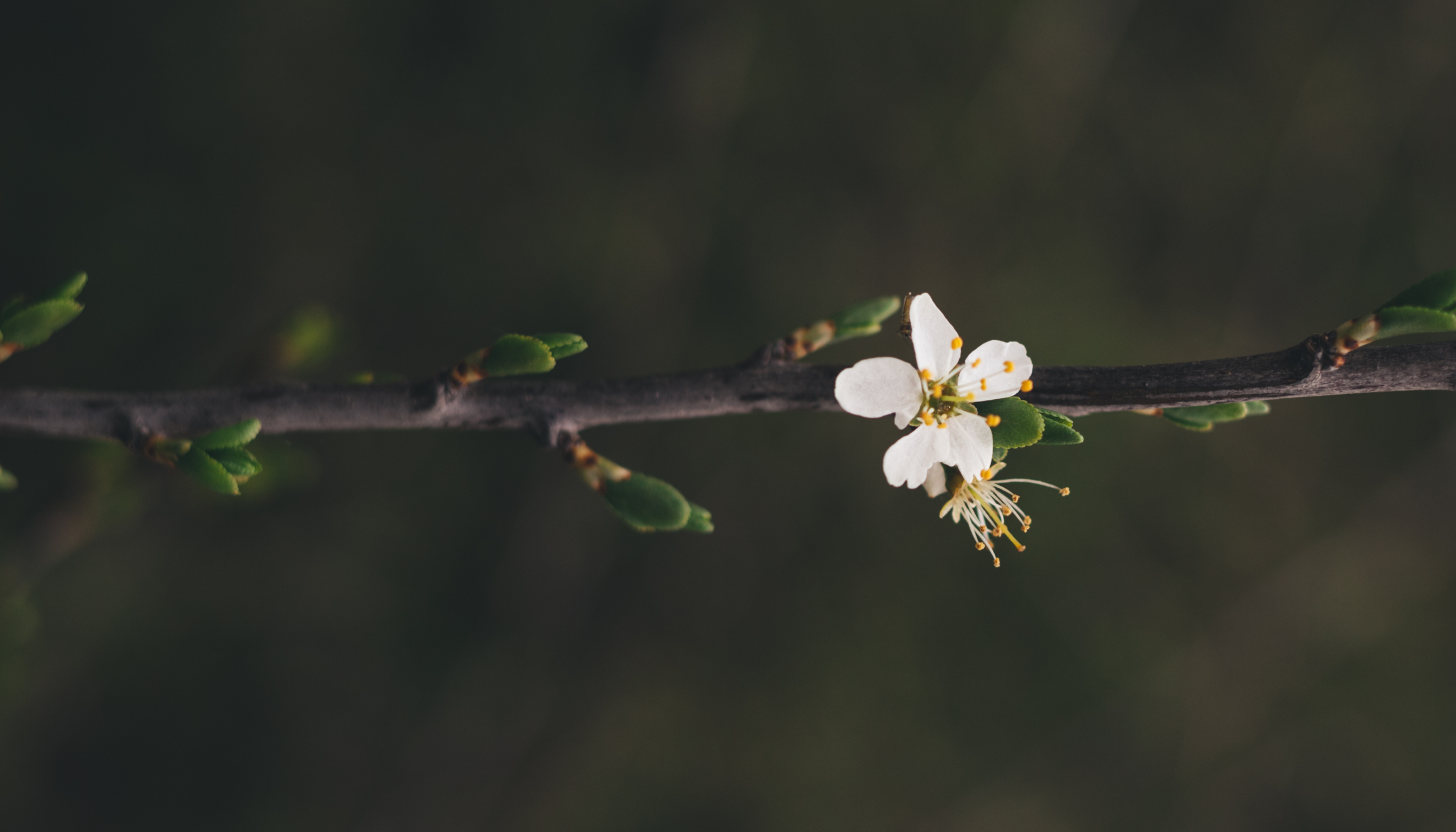 Are fragrances endocrine disrupting? Here's what science says.
