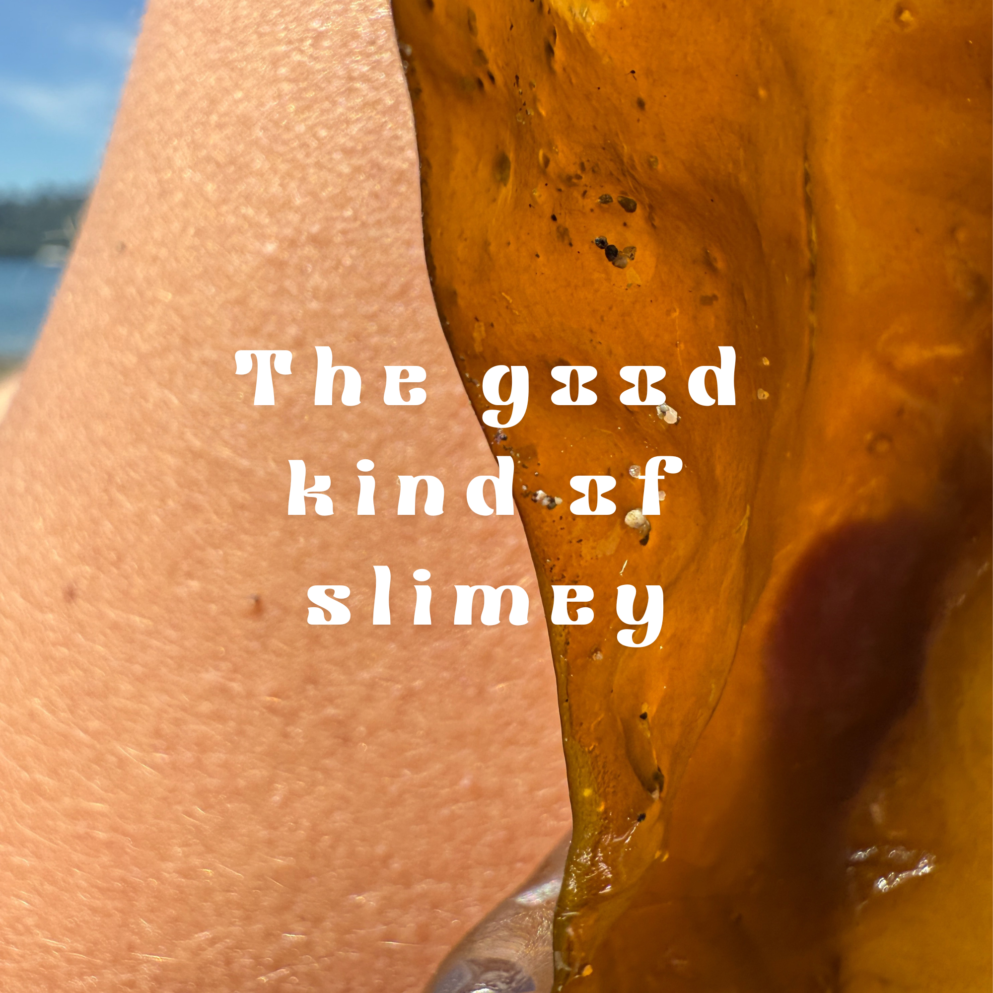 Marine Hydration Bodycare Set