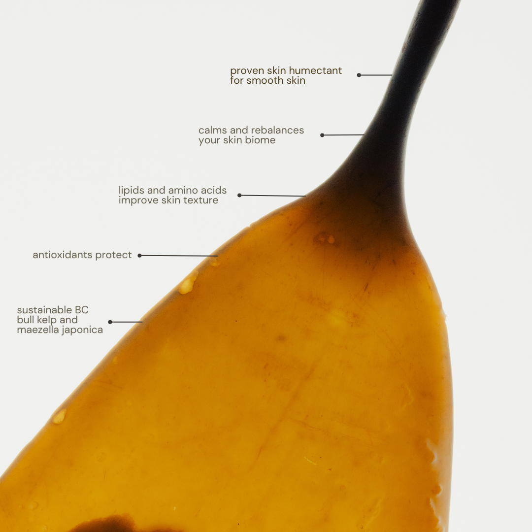 Marine Hydration Bodycare Set