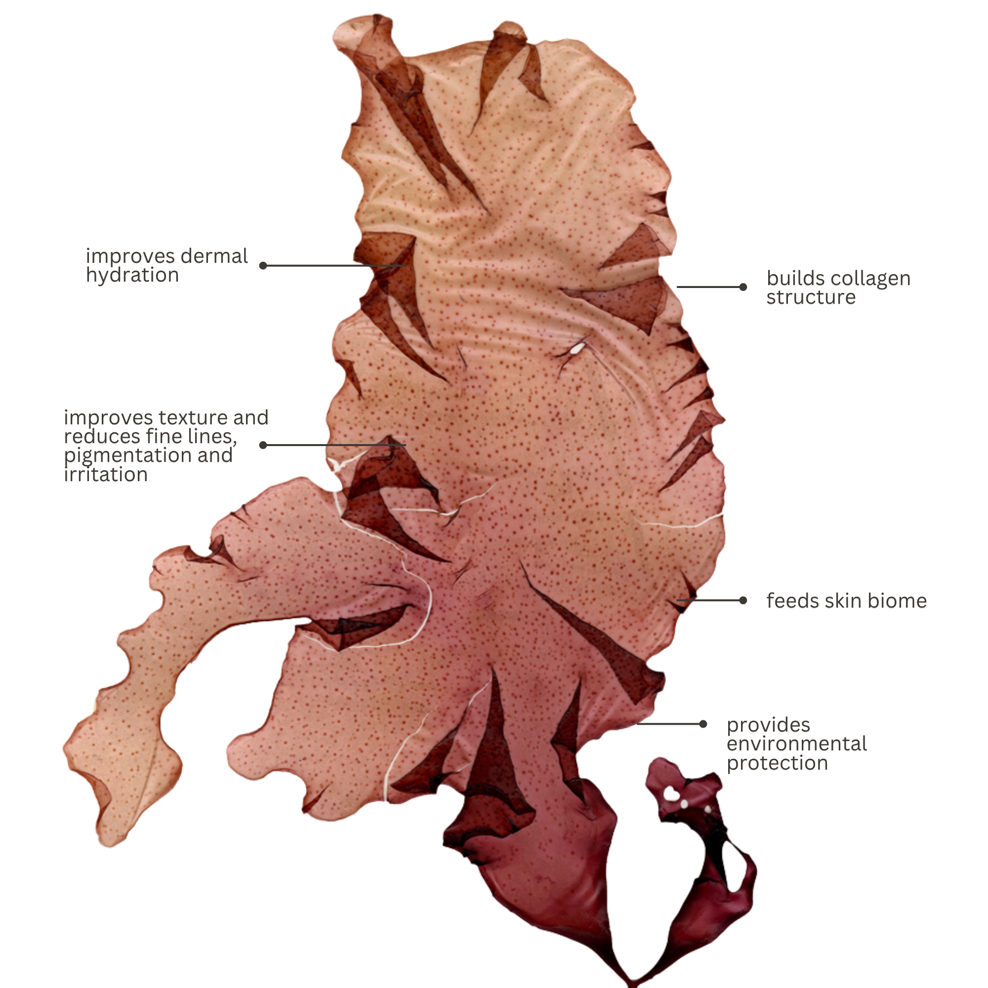 Marine Hydration Bodycare Set