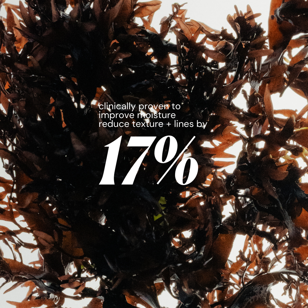 Marine Hydration Bodycare Set