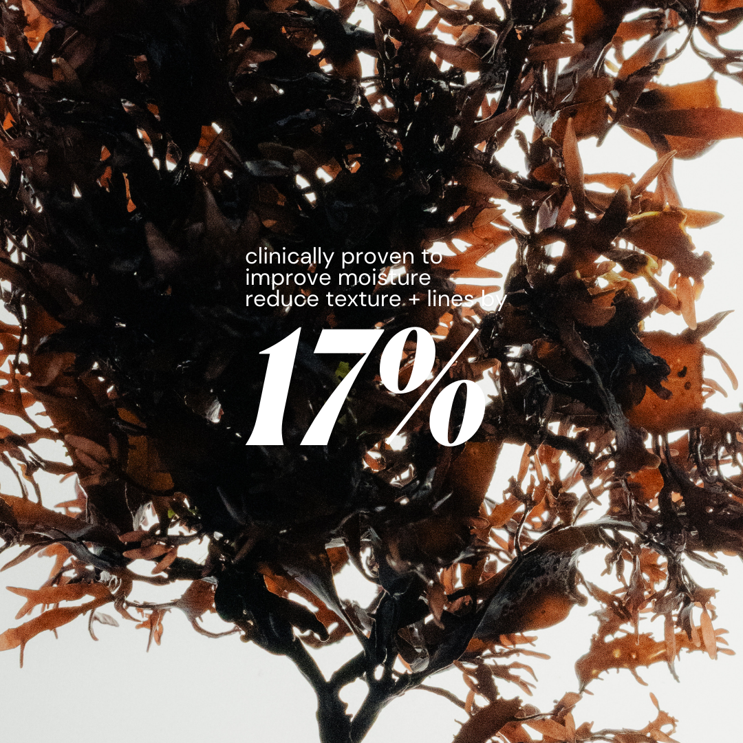 Marine Hydration Bodycare Set